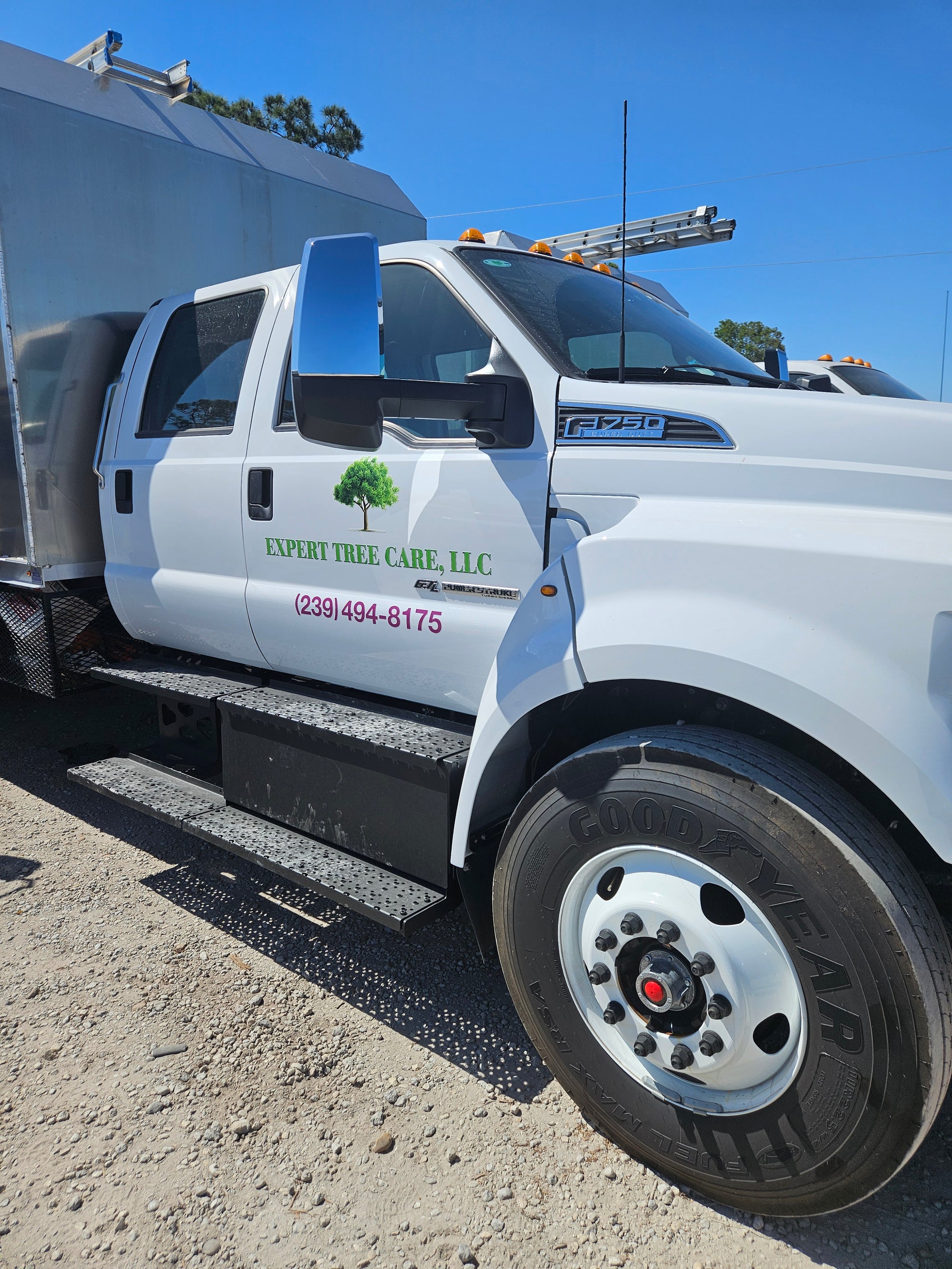 Expert Tree Truck 4-12-25
