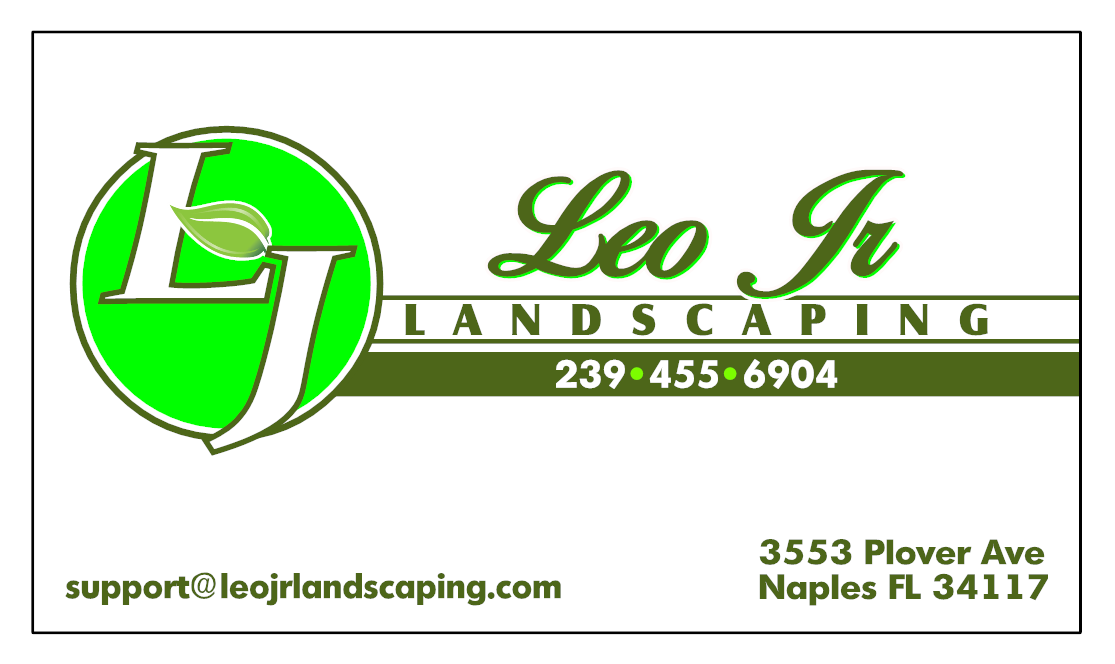 Leo Jr Business Cards (office)