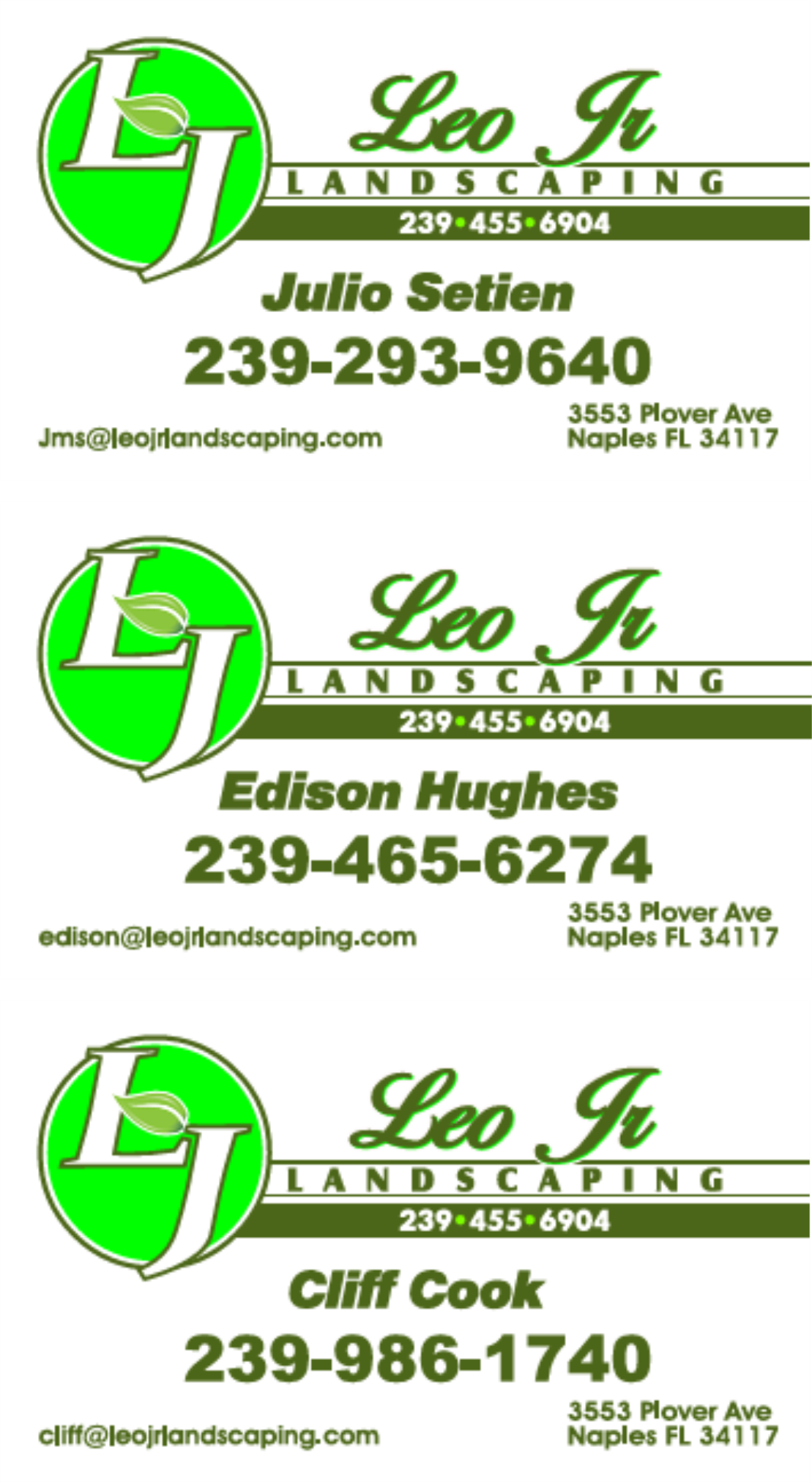 Leo Jr Business Cards Cook, Julio, Edison