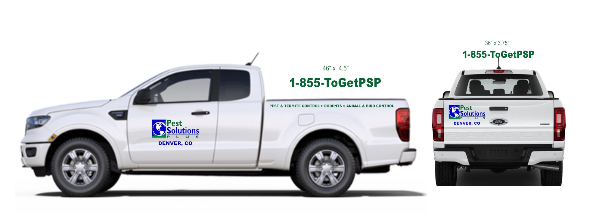 Pest Plus - Truck Lettering